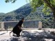 Don Matteo 10, slittano di una settimana le nuove riprese