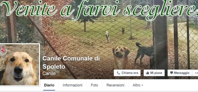 Canile Municipale di Spoleto: attiva la pagina Facebook