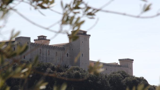 Dal Museo al Territorio, itinerari culturali tematici