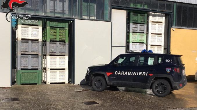 Cipolle in un magazzino senza autorizzazione, quasi un quintale, sequestro