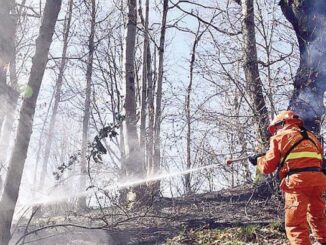 Protezione Civile del Comune di Spoleto su rischio incendi