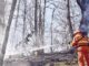 Protezione Civile del Comune di Spoleto su rischio incendi