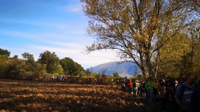 Giornata Nazionale della Camminata tra gli Olivi oltre 160 persone