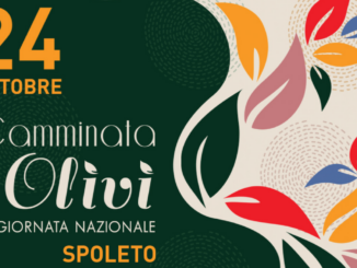 Giornata Nazionale della Camminata tra gli olivi, domenica 24