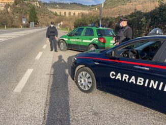 Reato di trasporto di rifiuti speciali, denunciati titolare ditta e autista