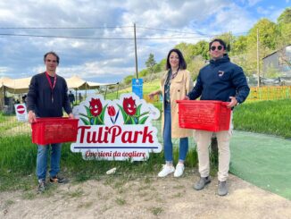 TuliPark