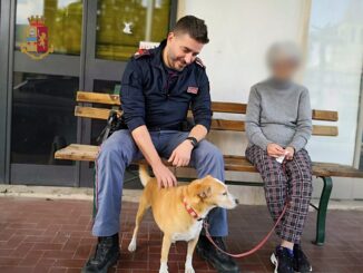 Seduta su una panchina, sola e col suo cane, anziana in difficoltà