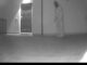 Tentativo di rapina in abitazione a Spoleto, ladro immortalato dalle telecamere di sicurezza
