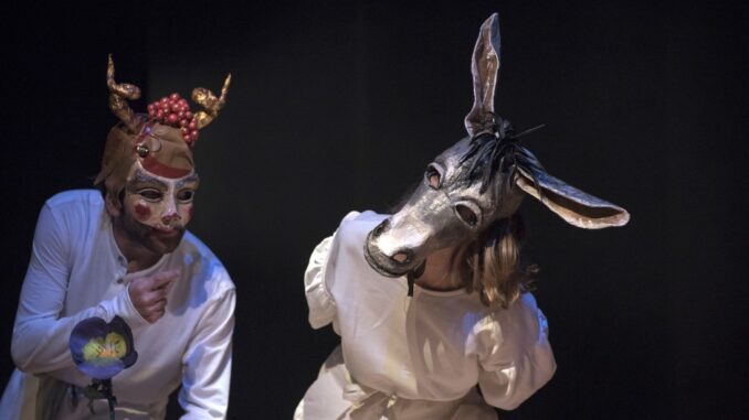"La Domenica dei Sogni". Torna il Teatro famiglia