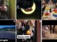 Instagrammers alla Scoperta del MECC di Campello sul Clitunno
