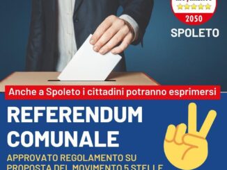 Regolamento Referendum Comunale: Passo Avanti Partecipazione