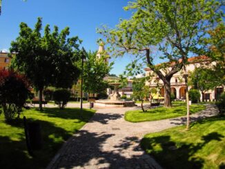 Inizia la Manutenzione del Verde Pubblico Trattamenti Endoterapici