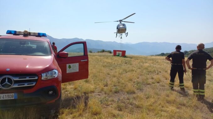 Incendio Spoleto, Maraghelli "Squadre Afor in prima linea, grazie"