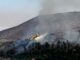 Rinascita Dopo l'Incendio: La Vegetazione di Poreta si Rigenera