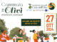 Giornata nazionale della “Camminata tra gli Olivi”