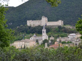 Manutenzione delle strade, verde pubblico, cimitero e scuole