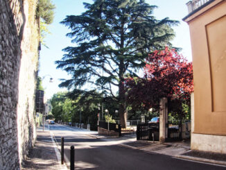 Torna il "Mercato delle Briciole": Dal 10 novembre in Viale Matteotti