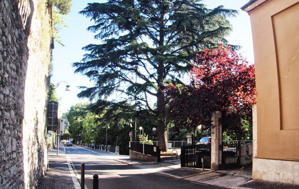 Torna il "Mercato delle Briciole": Dal 10 novembre in Viale Matteotti