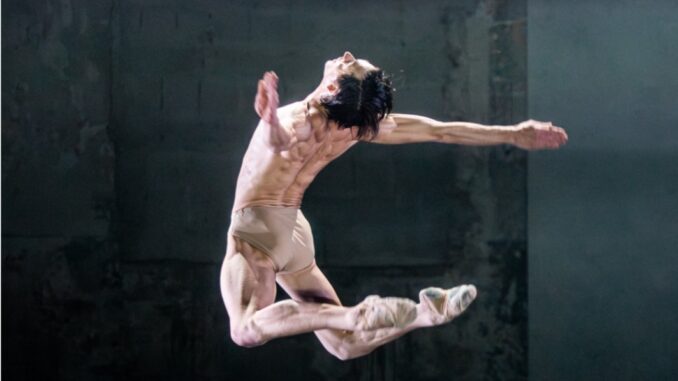 Il Festival di Spoleto trionfa ai premi Danza&Danza 2024