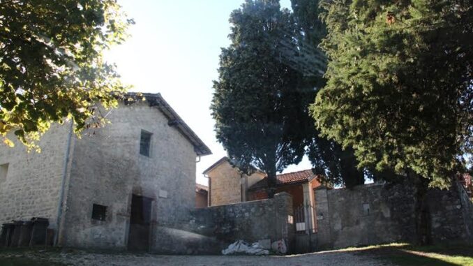 Interventi settimanali: strade, verde pubblico, cimiteri e scuole a Spoleto