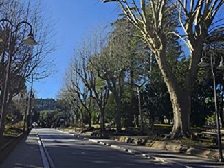 Il piano dei lavori di Ase Spoleto e Gardenland previsti fino al 9 marzo
