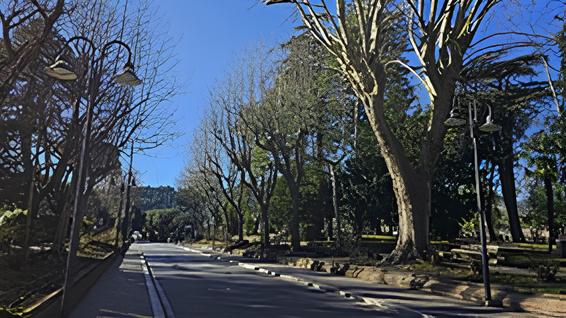 Il piano dei lavori di Ase Spoleto e Gardenland previsti fino al 9 marzo