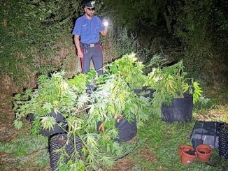 Serra con droga in casa: arrestato giovane a Spoleto