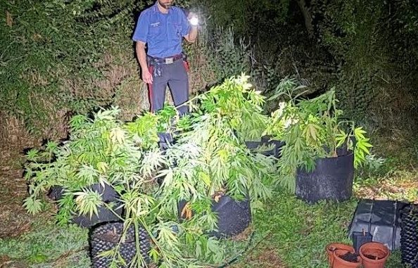 Serra con droga in casa: arrestato giovane a Spoleto