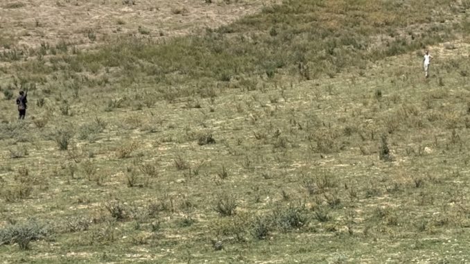 Preapertura caccia, Umbria approva corvidi ma esclude piccioni