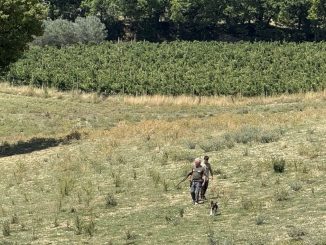 Cinofilia, a Spoleto la finale umbra del Trofeo Diana