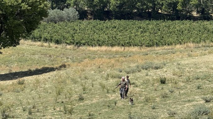 Cinofilia, a Spoleto la finale umbra del Trofeo Diana