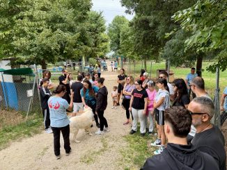 Passeggiata solidale per i cani del rifugio di Spoleto