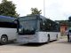Navette e Bus Garantiti per il Trasporto Scolastico a Spoleto