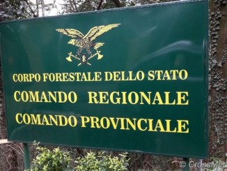 Progetto Un albero per il futuro Carabinieri forestali e le scuole