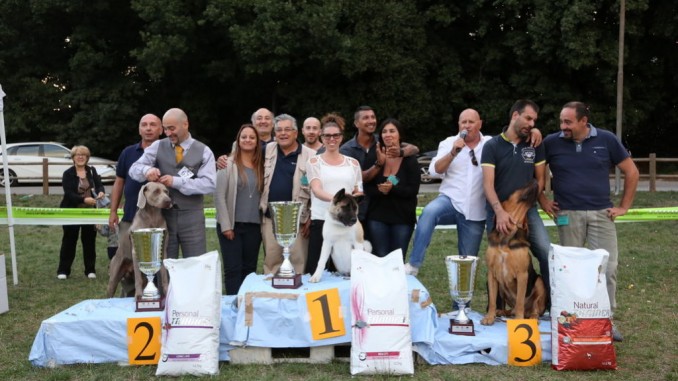 Esposizione Nazionale Canina, successo per Città di Spoleto 2015