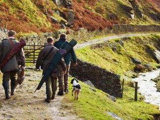 Cacciatore fa macabra scoperta nei boschi spoletini