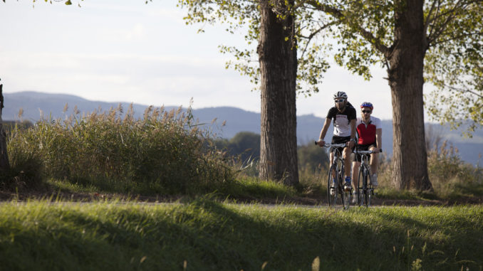 Per Bicitalia.org la Spoleto-Assisi è la pista ciclabile più cliccata all'interno della categoria “piste ciclabili di qualità”