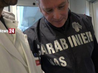 Supermercato spoletino invaso da formiche, Carabinieri NAS denunciano titolari