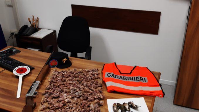 Uccide fringuelli, ma sono protetti, cacciatore ne aveva 170 in congelatore