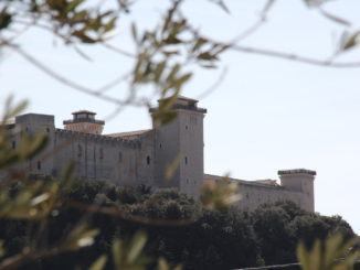 Dal Museo al Territorio, itinerari culturali tematici