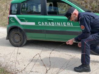 Stendeva filo spinato lungo strade di campagna, denunciato 65enne