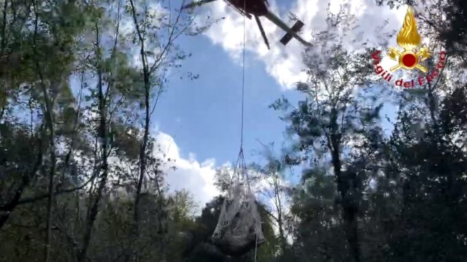 Vigili del fuoco salvano una mucca a Terzo San Severo di Spoleto