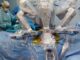 Chirurgia robotica in urologia, l'alta formazione all'Ospedale di Spoleto