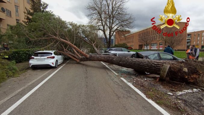 Tre auto in sosta e lampione piegato colpiti dal maltempo a Spoleto
