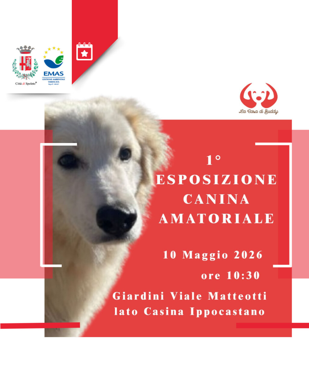 Esposizione canina celebra il legame uomo-animale a Spoleto